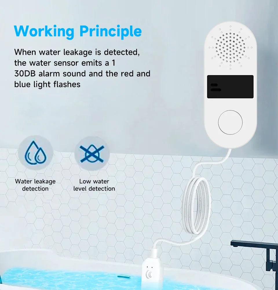 Water Leak Alarm